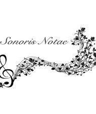 Lezione concerto
